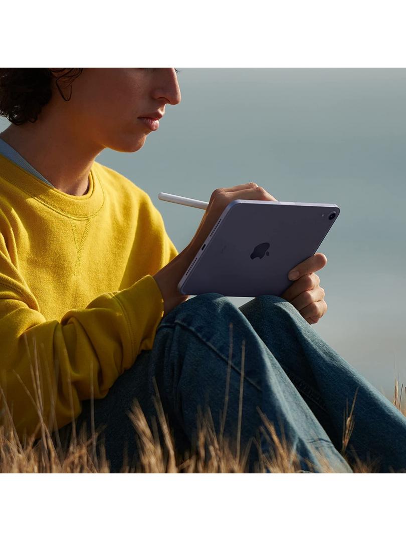 Apple iPad mini 6th Generation (Wi-Fi, 256GB) 